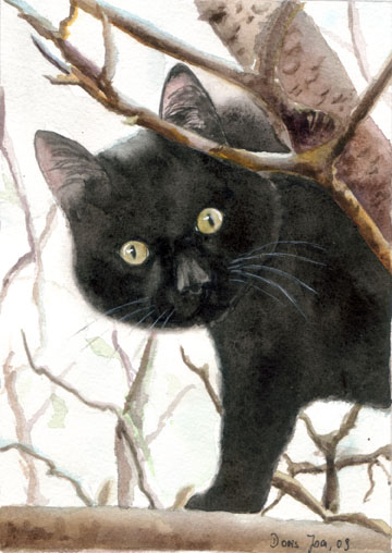 360x508 Black Cat Sitting In A Tree - Black Cat Watercolor Paintings