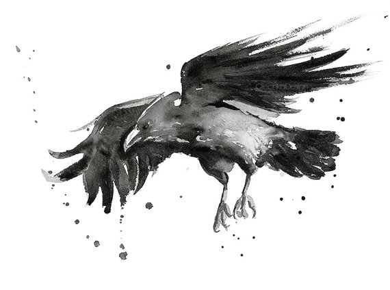 570x424 Flying Raven Watercolor Art Print, Raven Art, Raven Decor, Raven - Black Watercolor Art