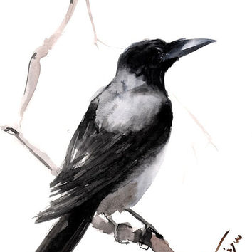 354x354 Hooded Crow, Original Watercolor From Originalonly On Etsy - Black Watercolor Art