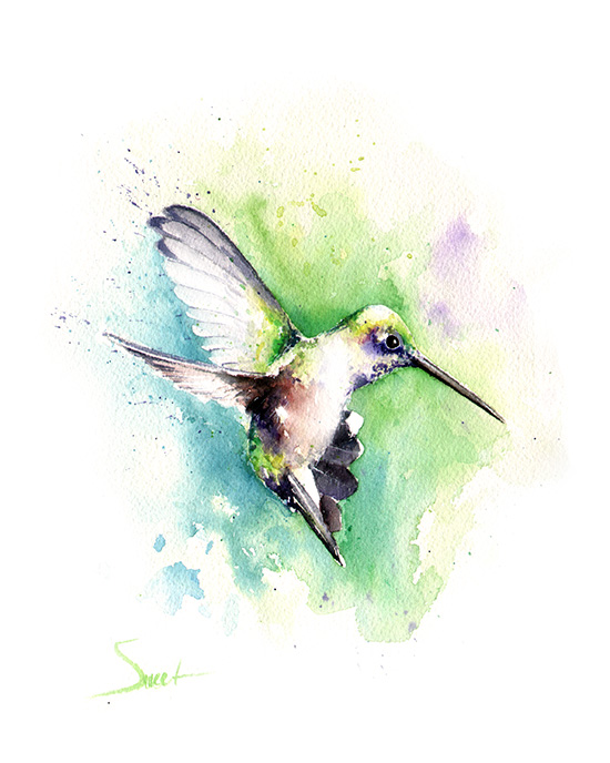 550x688 Black Chinned Hummingbird Watercolor Print Watercolor Animal - Black Watercolor Art