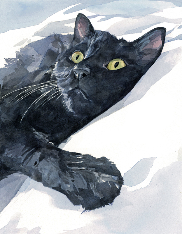 624x800 Black Cat Watercolor Painting David Scheirer Watercolors - Black Watercolor Painting