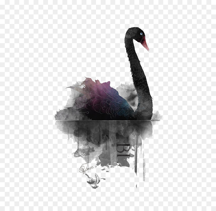 900x880 Download Black Swan Painting Simple Black Watercolor Swan - Black Watercolor Painting