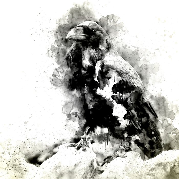 700x700 Watercolor Crow, Black And White Crow, Crow Painting, Cool Crow - Black Watercolor Painting