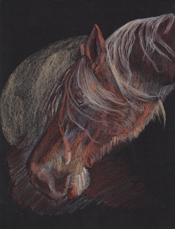611x800 My Horses On Black Paper - Black Watercolor Paper