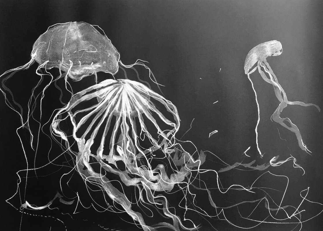1117x798 30 X 44 Acrylic And Pastel Jellyfish Study On Black Watercolor - Black Watercolor Paper