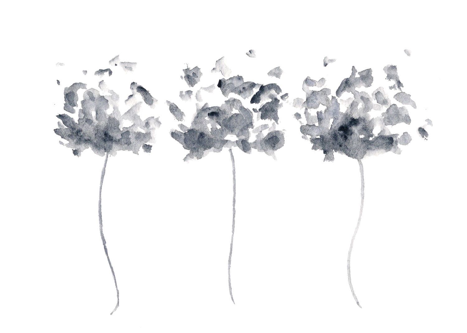 1500x1071 Watercolor Flower Painting, Watercolor Poppies, Black And White - Black White Watercolor