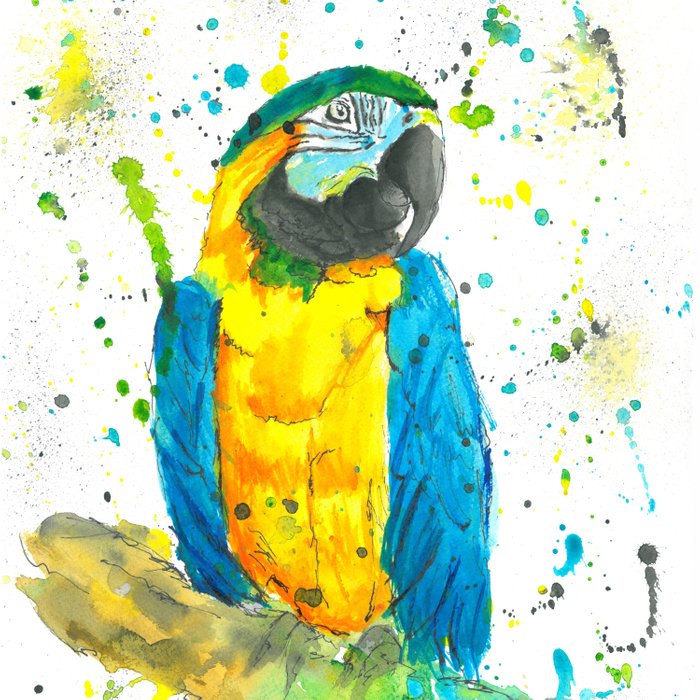 700x700 Blue Amp Gold Macaw - Blue And Gold Watercolor