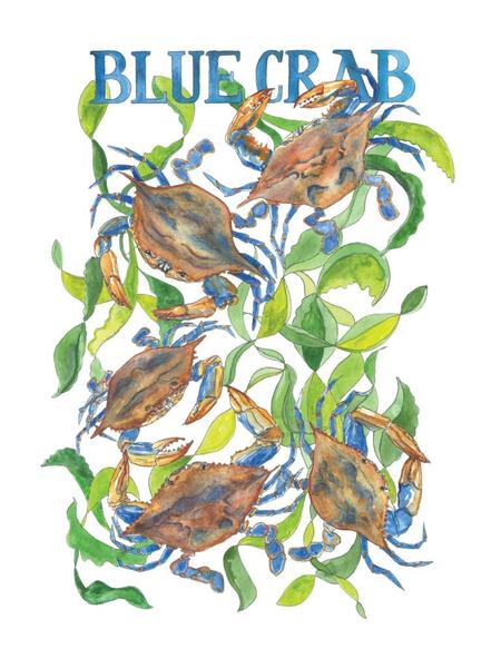 450x600 Blue Crab Watercolor Print Marcella Kriebel Art + Illustration - Blue Crab Watercolor