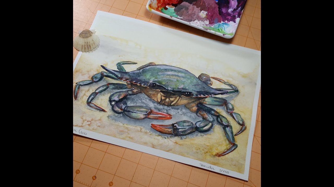 1280x720 Chesapeake Blue Crab Watercolor Painting Speedpaint Timelapse - Blue Crab Watercolor