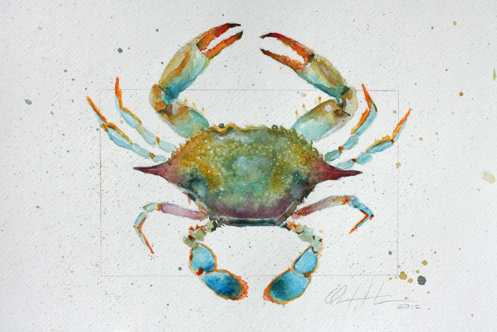 1000x667 Clair Hartmann Daily Painting Blue Crab 2 - Blue Crab Watercolor