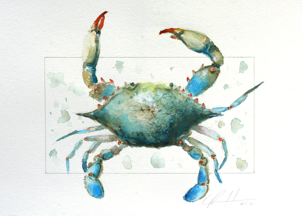 1000x716 Clair Hartmann Daily Painting Blue Crab By Clair Hartmann - Blue Crab Watercolor