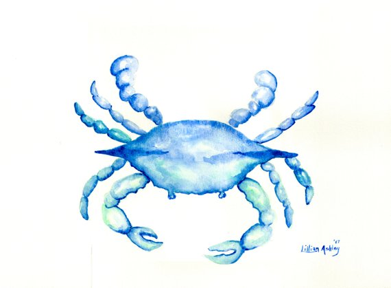 570x419 Coastal Artwork Blue Crab Print Blue Crab Watercolor Giclee Etsy - Blue Crab Watercolor