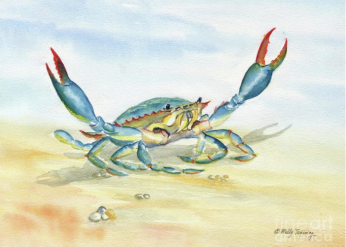 700x500 Colorful Blue Crab Greeting Card For Sale By Melly Terpening - Blue Crab Watercolor