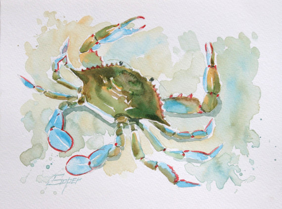 570x423 Fine Art Print Of Blue Crab Watercolor Painting By Patrick Soper - Blue Crab Watercolor