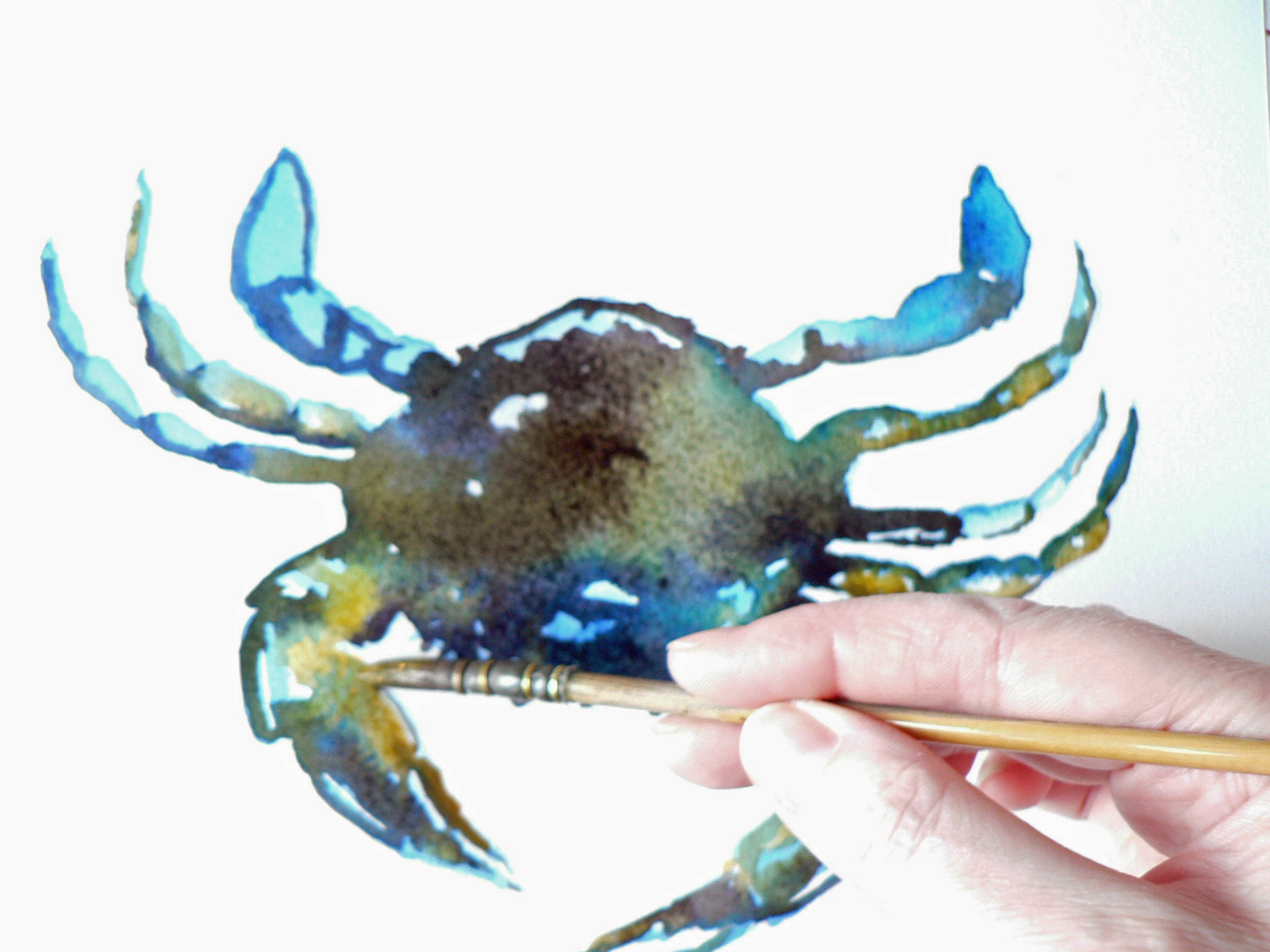 2048x1536 How To Paint A Watercolour Crab Alison Fennell Art - Blue Crab Watercolor