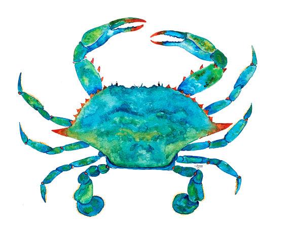 570x448 Blue Crab 2 Watercolor Print (2) One Hundred Miles - Blue Crab Watercolor