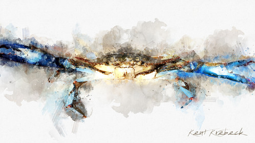 498x279 Watercolor Blue Crab - Blue Crab Watercolor