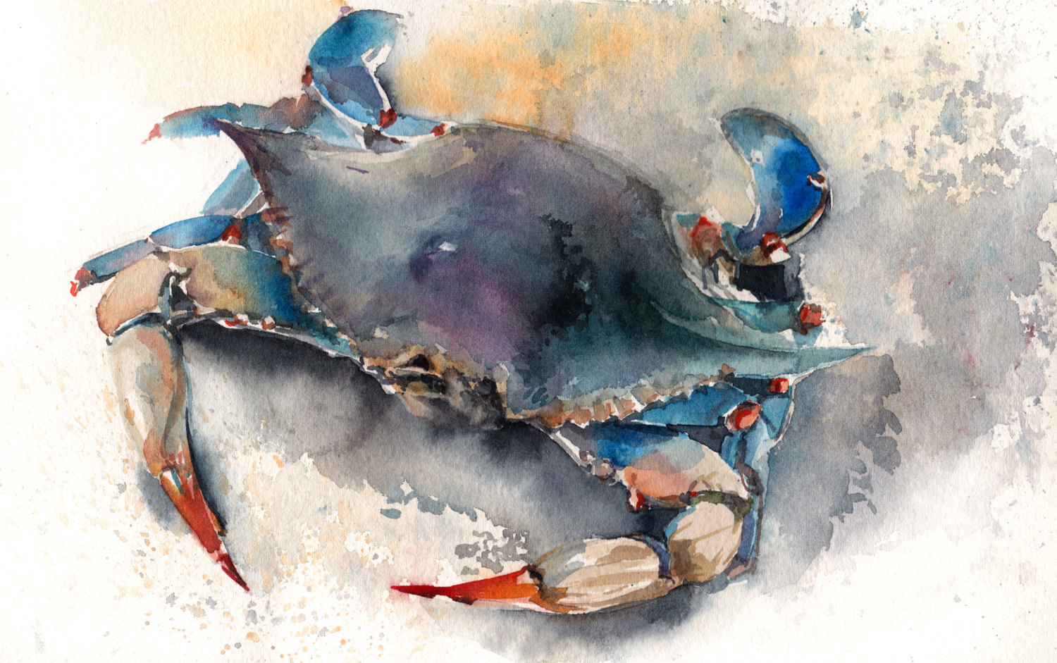 1500x941 Blue Crab Watercolor Painting Canotstop Watercolors I Love - Blue Crab Watercolor