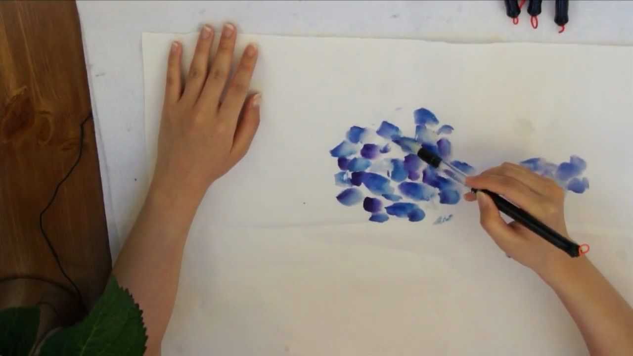 1280x720 Blue Hydrangea Watercolor Doodle On Cotton Xuan Rice Paper By Amy - Blue Hydrangea Watercolor