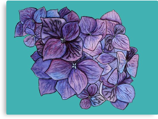 550x415 Blue Hydrangea Flower Watercolor Canvas Prints By Kateryna - Blue Hydrangea Watercolor