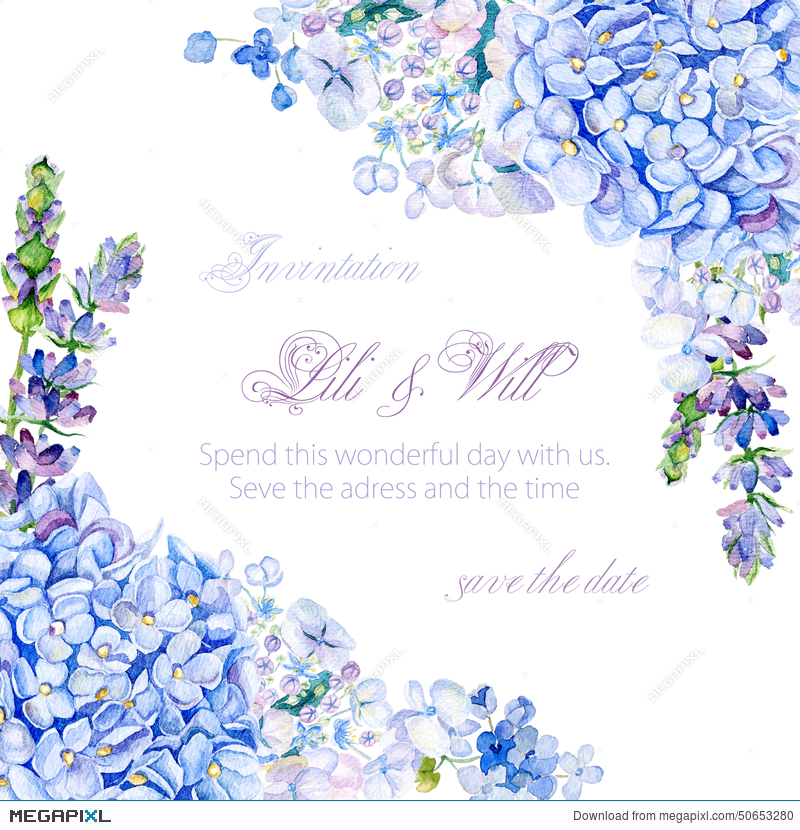 800x830 Frame Of Watercolor Blue Hydrangea, Lavender. Illustration - Blue Hydrangea Watercolor