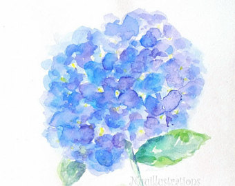 340x270 Hydrangea Watercolor Painting Original 4 X 6 Lime Green - Blue Hydrangea Watercolor