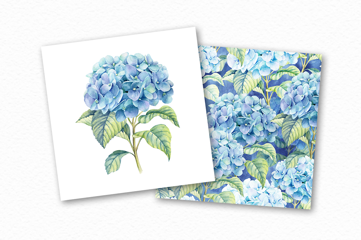 1160x772 Watercolor Blue Hydrangea On Behance - Blue Hydrangea Watercolor