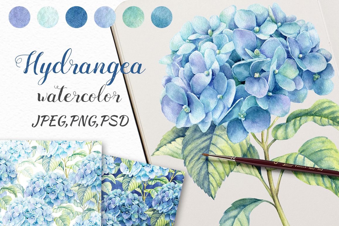 1158x772 Watercolor Blue Hydrangea - Blue Hydrangea Watercolor