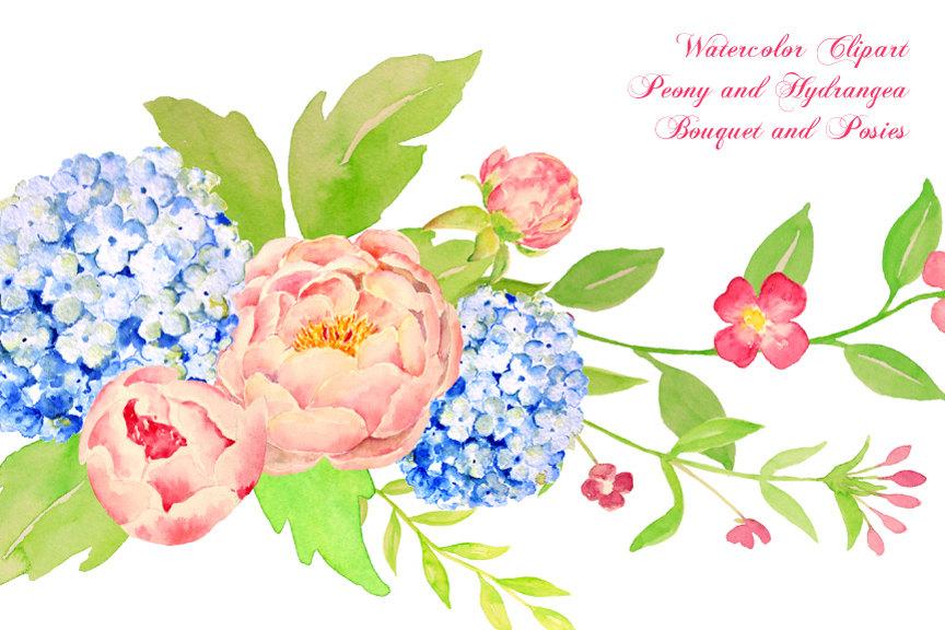 864x576 Watercolor Peony And Blue Hydrangea Bouquet, Peony Floral - Blue Hydrangea Watercolor