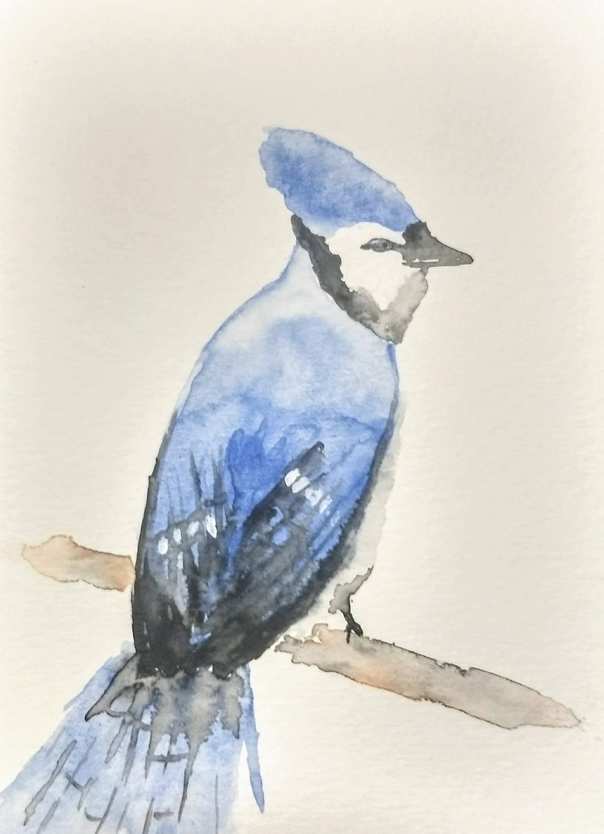 2038x2815 Blue Jay Watercolor Etsy - Blue Jay Watercolor