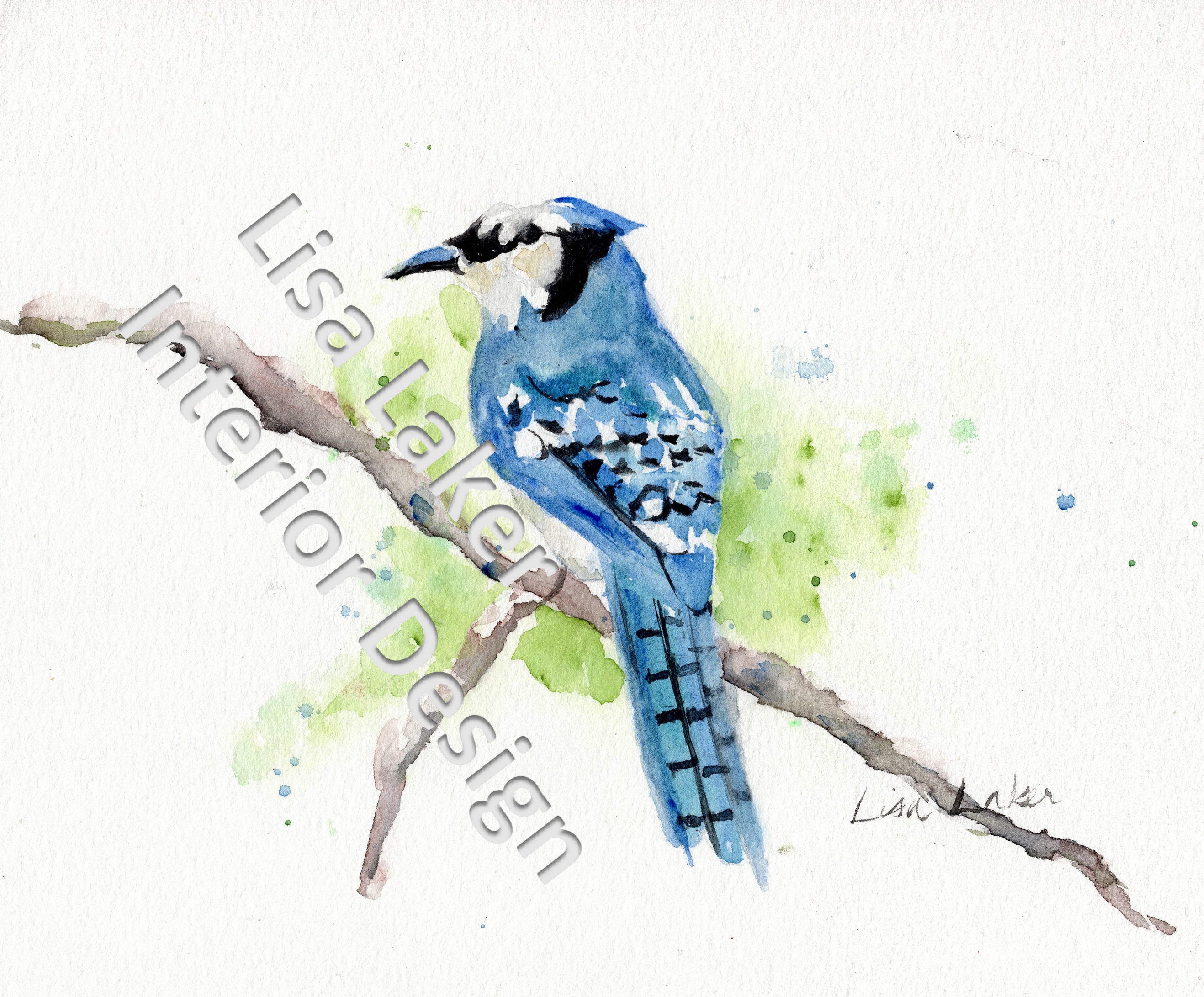 5271x4365 Blue Jay Watercolor Print Download - Blue Jay Watercolor