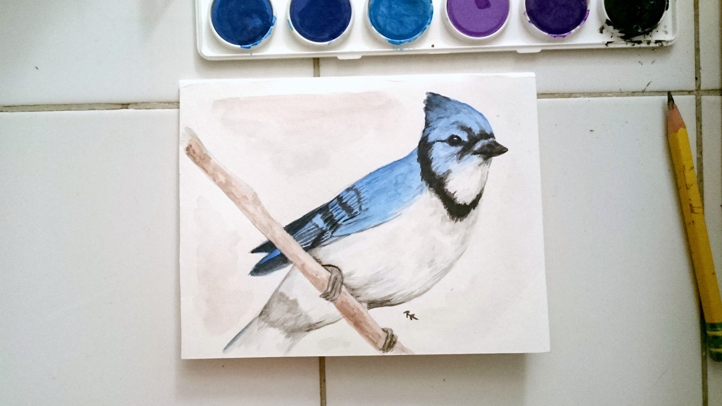 2408x1354 Speed Paint - Blue Jay Watercolor