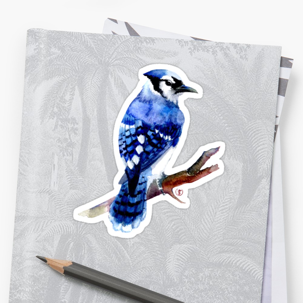 1000x1000 Watercolor Blue Jay Stickers By Torysevas Redbubble - Blue Jay Watercolor