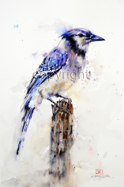 500x750 Blue Jay - Blue Jay Watercolor