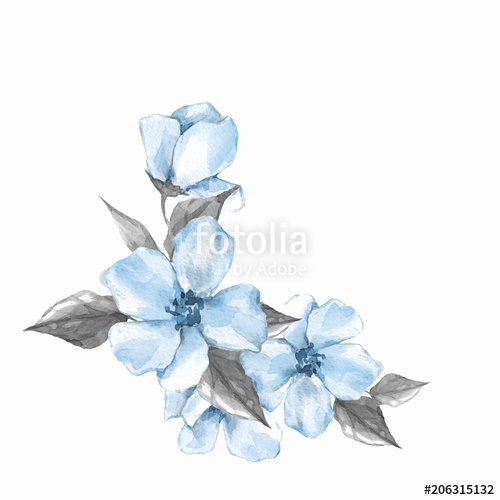 500x500 Blue Watercolor Flowers. Floral Branch, Isolated On White - Blue Watercolor Flowers