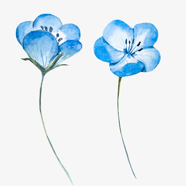 650x651 Light Blue Watercolor Flowers, Watercolor, Flower, Light Blue Png - Blue Watercolor Flowers