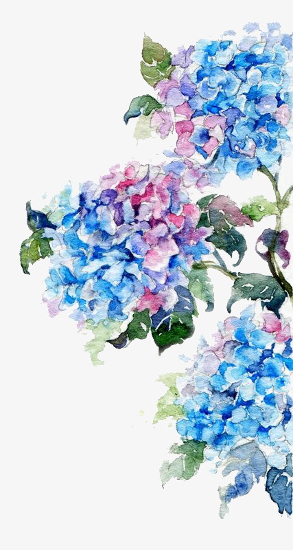 427x800 Watercolor Flowers, Watercolor Clipart, Watercolor, Flowers Png - Blue Watercolor Flowers