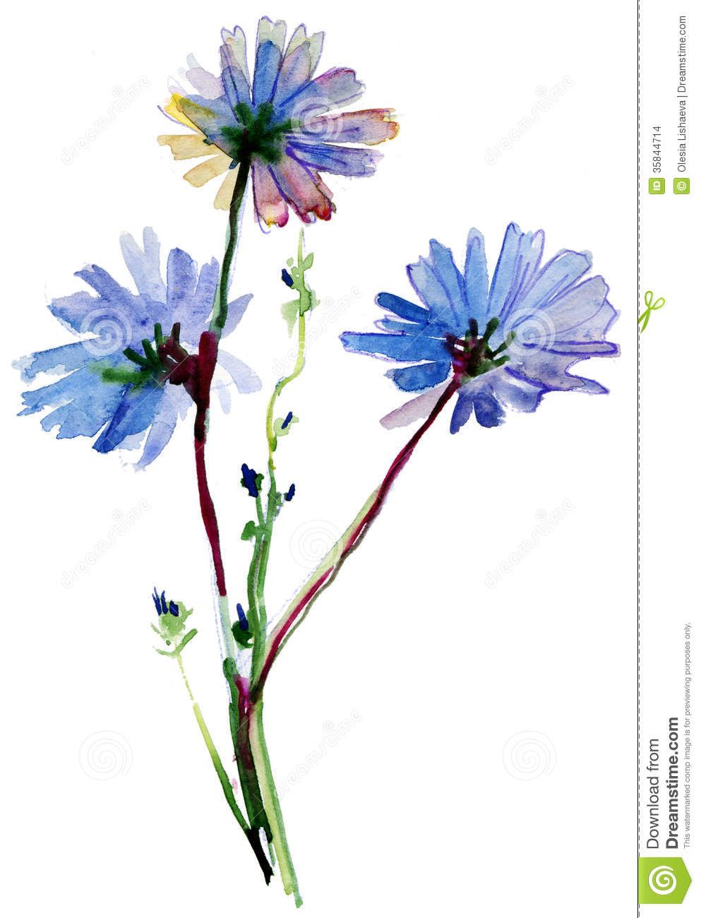 993x1300 Blue Watercolor Flowers - Blue Watercolor Flowers