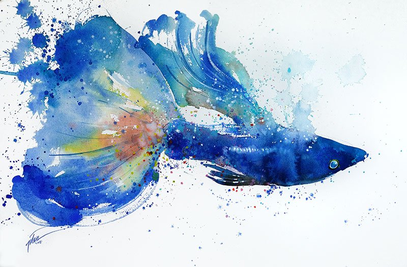 800x526 Tilen Ti - Blue Watercolor Print
