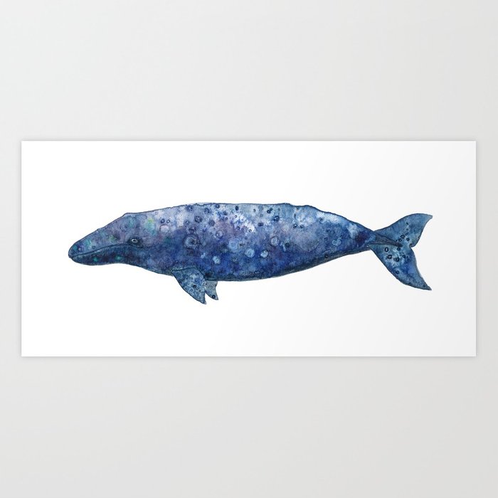 700x700 Blue Whale Watercolor Art Print By Camillepenner Society6 - Blue Whale Watercolor
