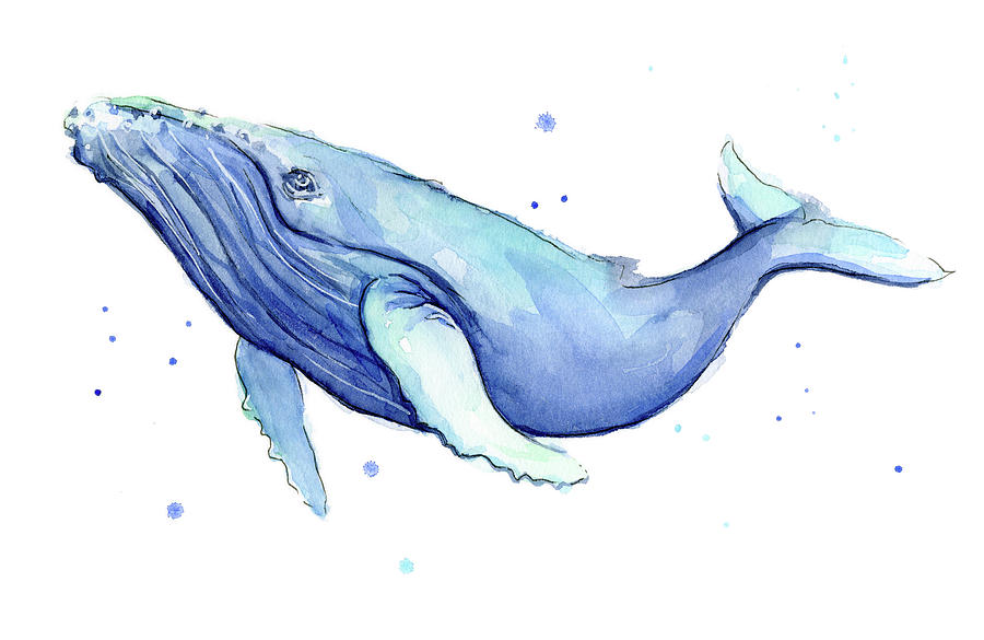900x585 Humpback Whale Watercolor Painting By Olga Shvartsur - Blue Whale Watercolor