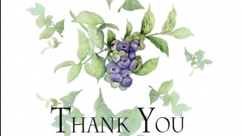 800x450 Blueberry Watercolor Thank You Olga Skillshare Projects - Blueberry Watercolor