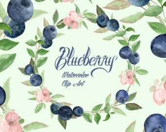 340x270 Blueberry Watercolor Etsy - Blueberry Watercolor