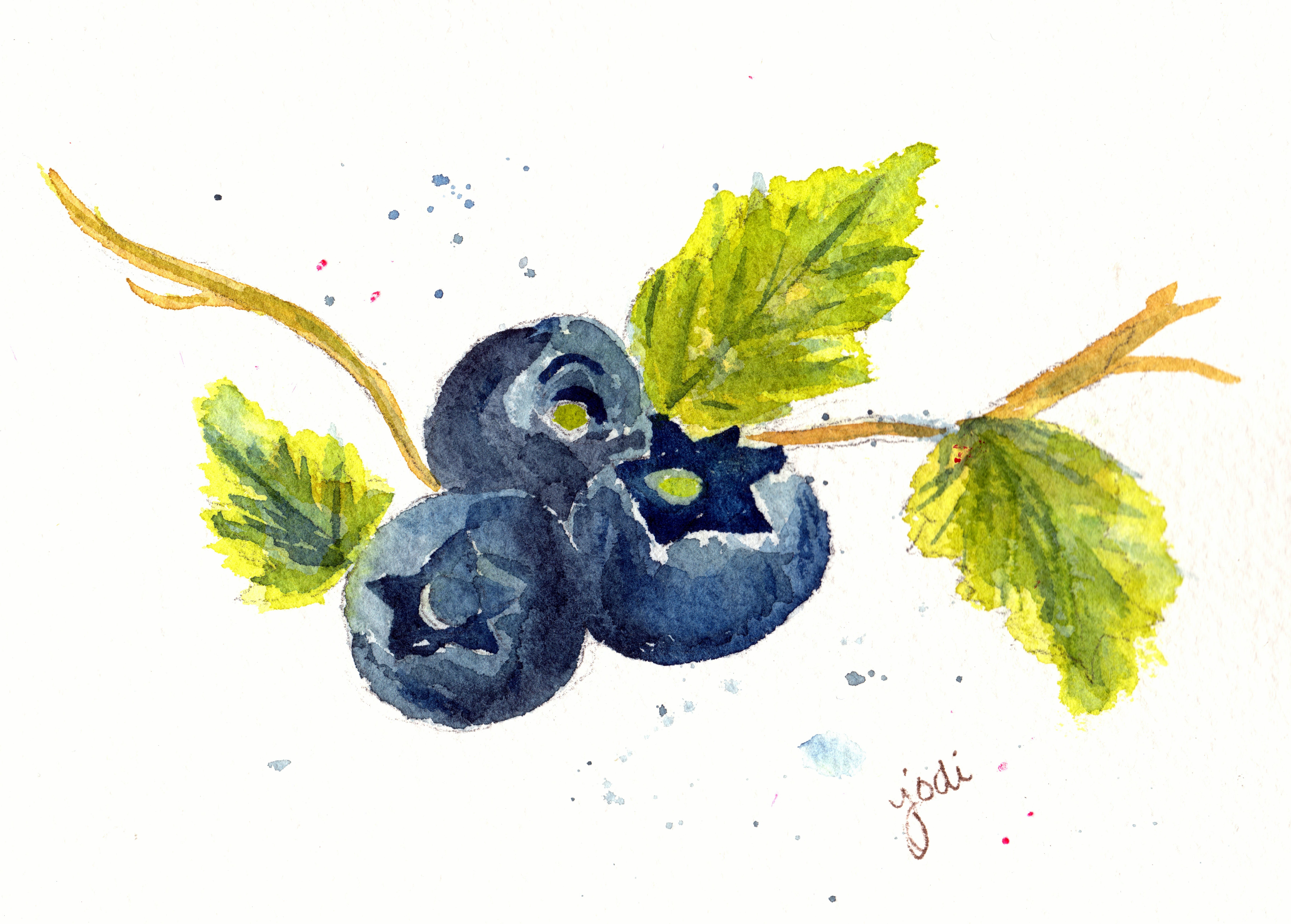 7191x5150 Creative Inspiration In Food, Watercolor, Photography, Writing And - Blueberry Watercolor