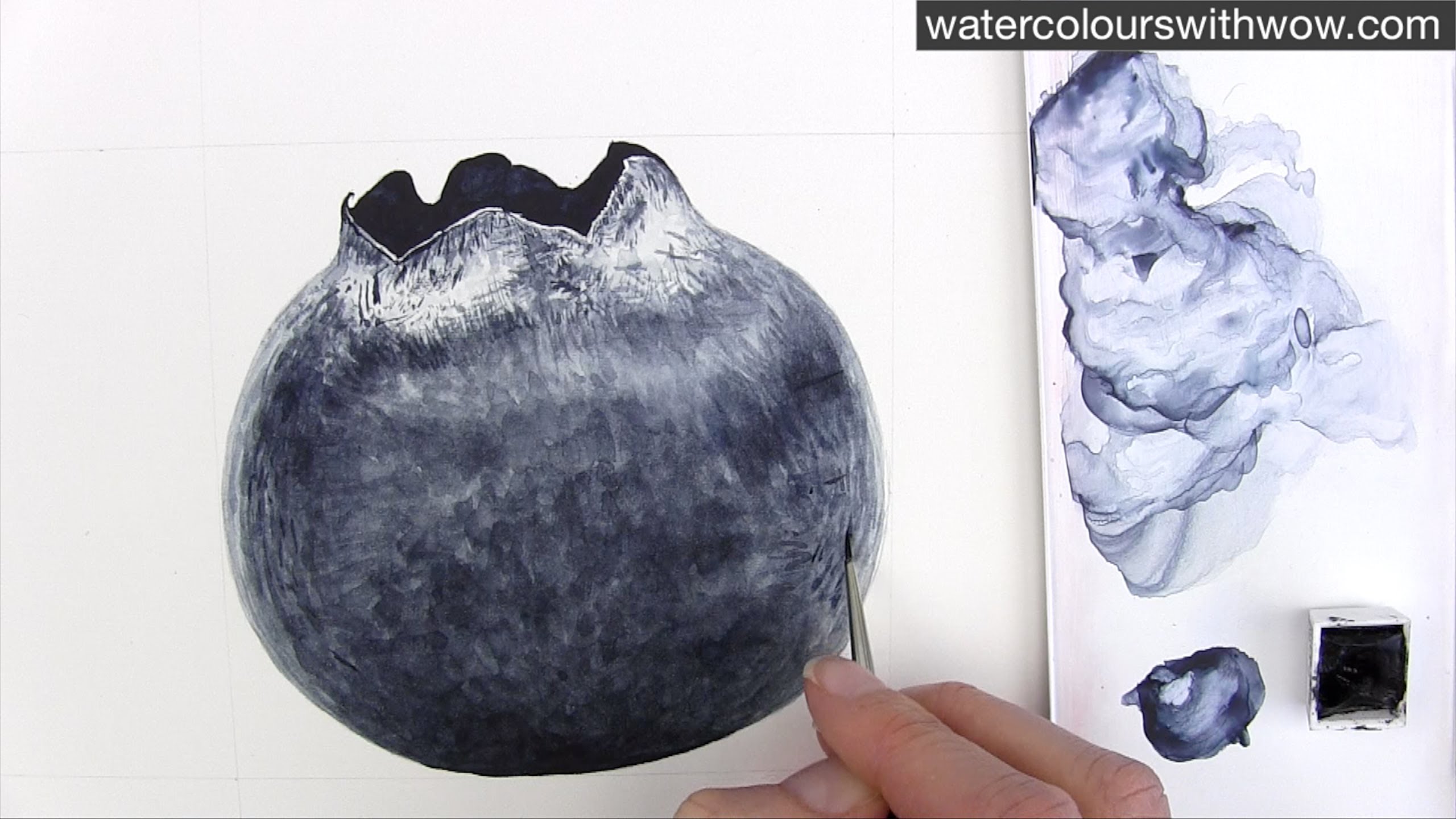 2560x1440 How To Paint A Realistic Blueberry With Just One Colour In - Blueberry Watercolor