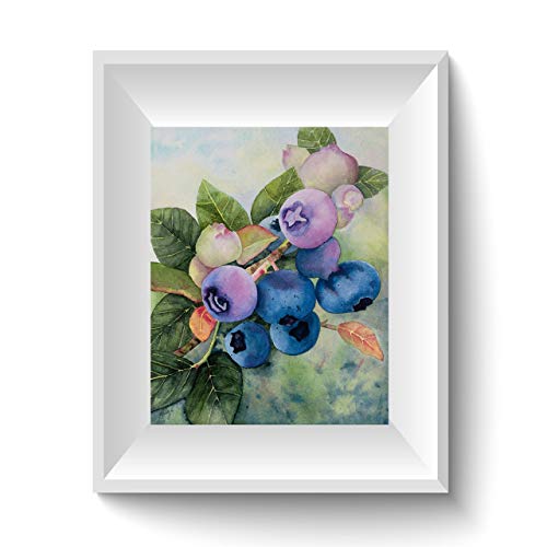 500x500 Blueberry Picture - Blueberry Watercolor