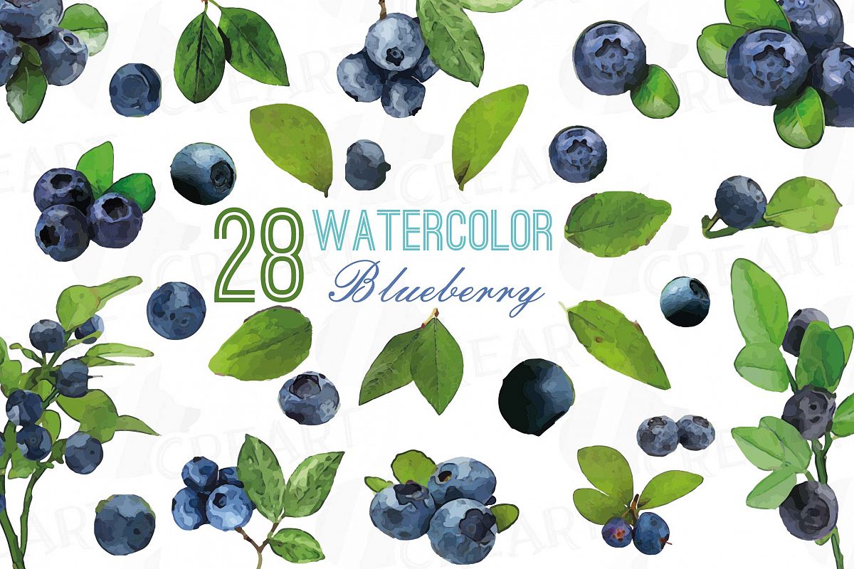 1200x800 Watercolor Blueberry, Branch And Leaves Design Bundles - Blueberry Watercolor