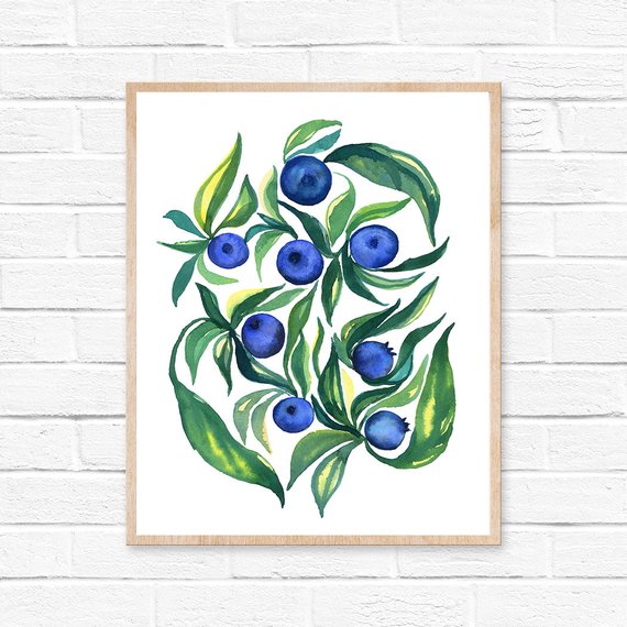 570x570 Blueberry Watercolor Blueberries Blueberry Watercolor Etsy - Blueberry Watercolor