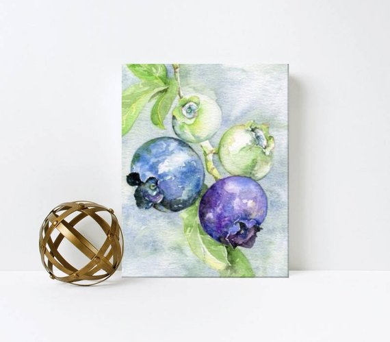 570x499 Blueberry Watercolor Print Watercolor Blueberries Kitchen Etsy - Blueberry Watercolor