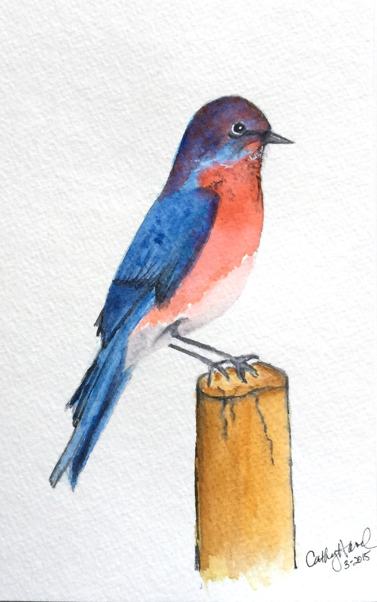1224x1951 Bluebird In Watercolor - Bluebird Watercolor